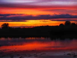Szigetköz 