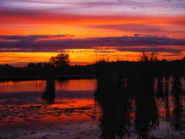 Szigetköz 