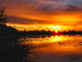 Szigetközi naplemente 