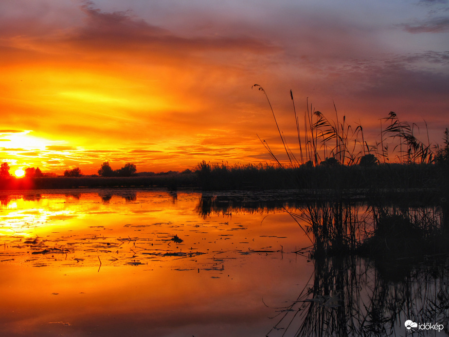 Szigetközi naplemente 