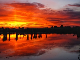 Szigetközi naplemente 