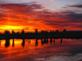 Szigetközi naplemente 