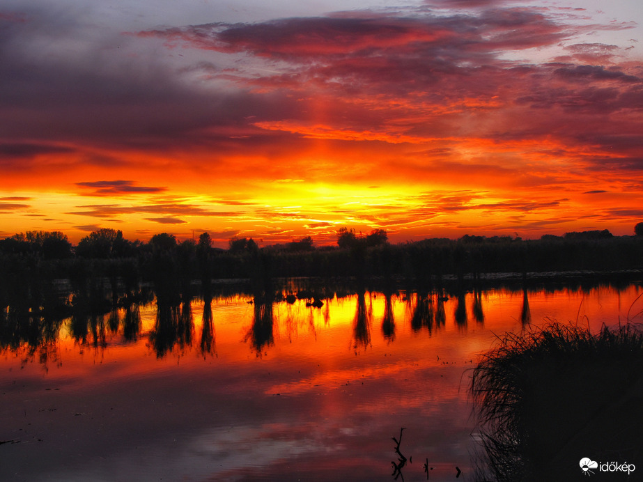 Szigetközi naplemente 