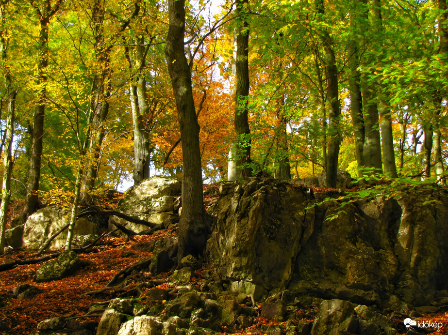 Az őszi Bakony