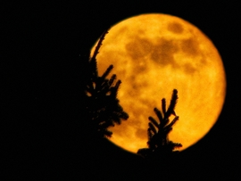 Az év első szigetközi teliholdja