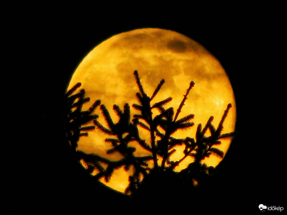 Az év első szigetközi teliholdja