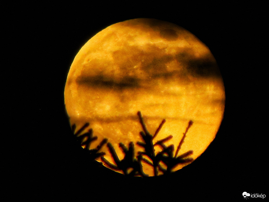 Az év első szigetközi teliholdja