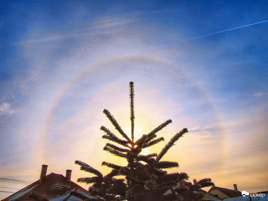 Szigetközi naphaló