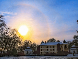 Szigetközi naphaló