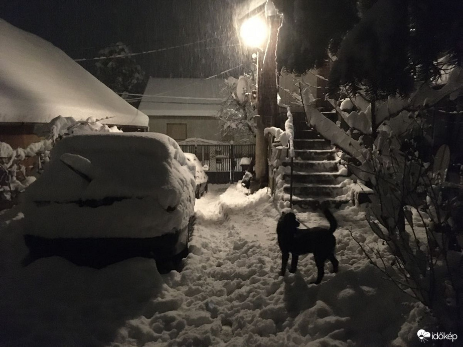 Észlelési fényképek