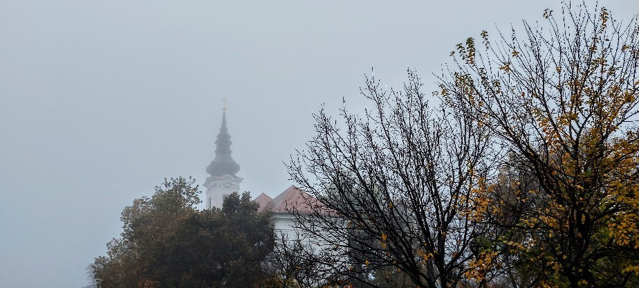Szár