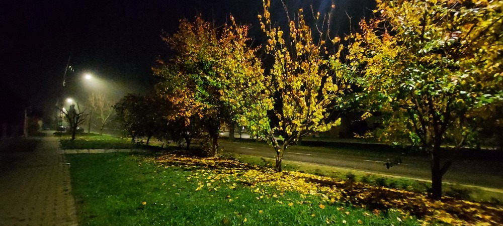 Szár
