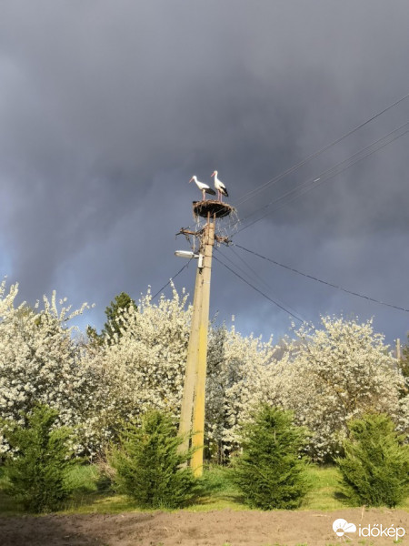 Észlelési fényképek