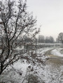 Győr