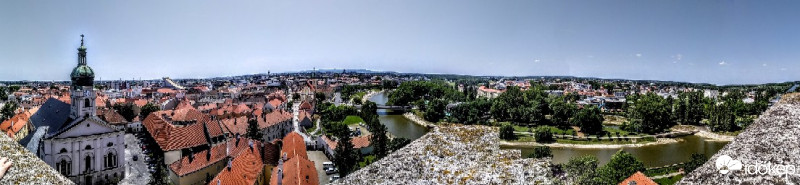 Mány