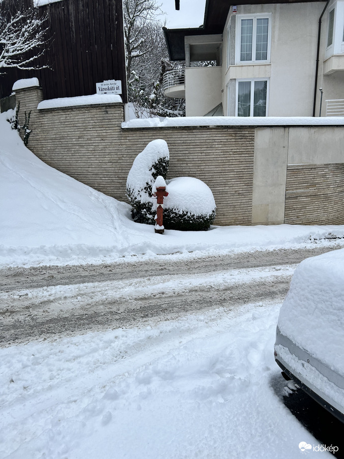 Nyuszi ül a hóban :)