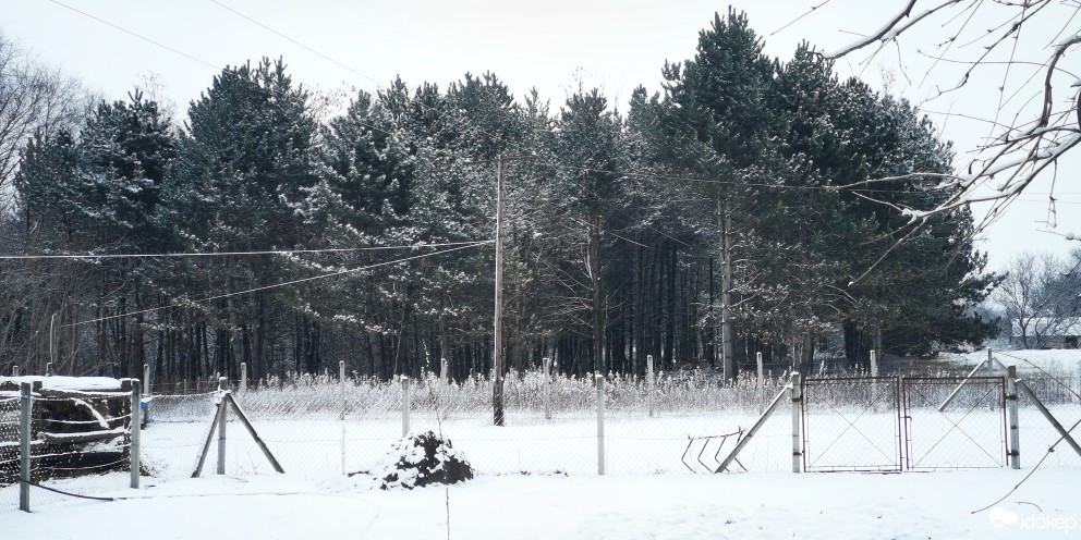 Kiskunfélegyháza