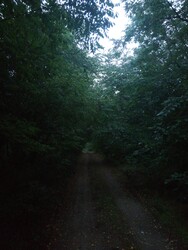 Balkány