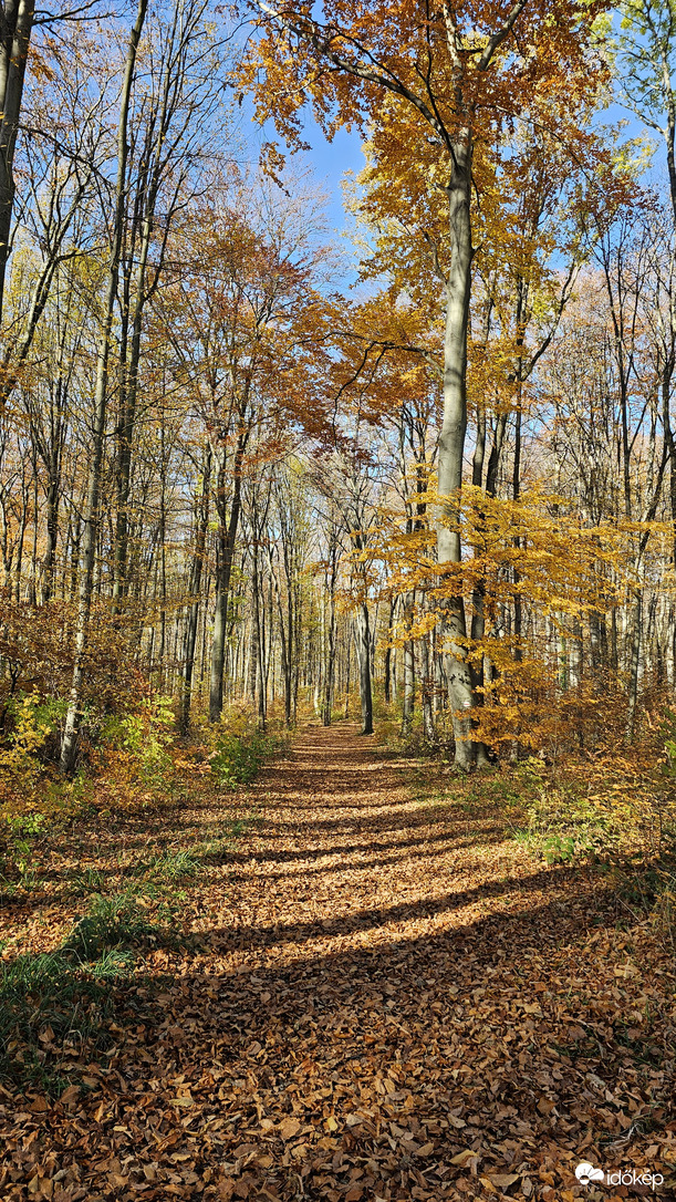 Útban a Magos-kő felé