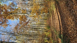 Útban a Magos-kő felé