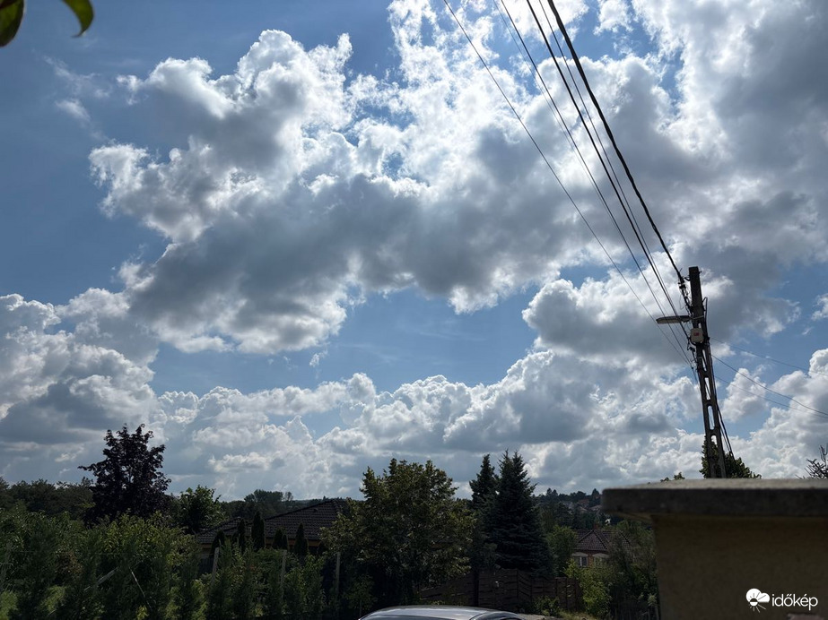 Erdőkertes