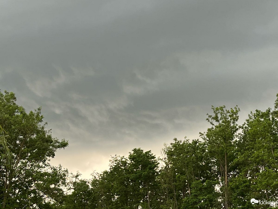 Észlelési fényképek