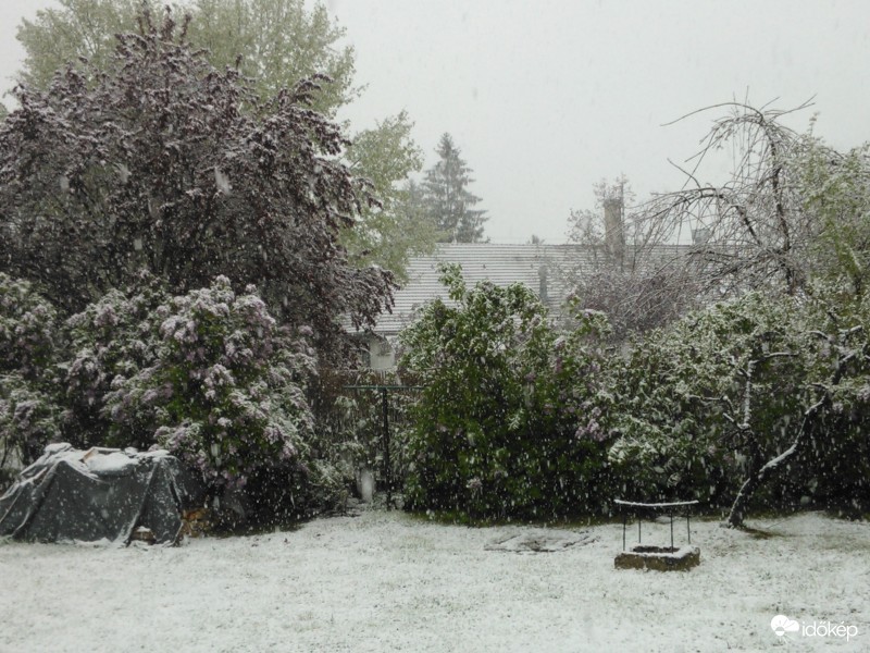 Észlelési fényképek