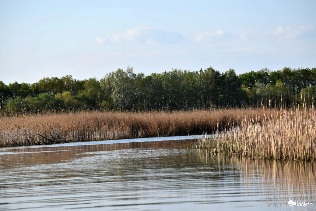 Tisza-tó