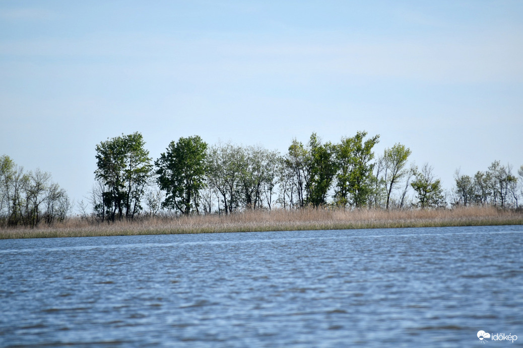 Tisza-tó