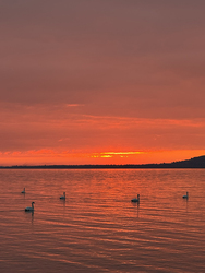 Naplemente Szigliget