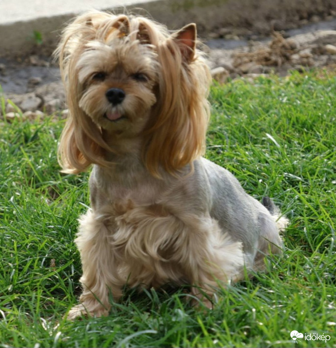 Utolsó melegebb napok:)♡