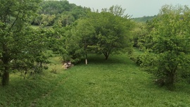 Bagó-völgy