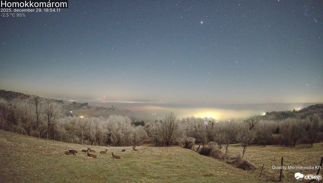 Télapó segédjeinek Karácsony utáni pihenése