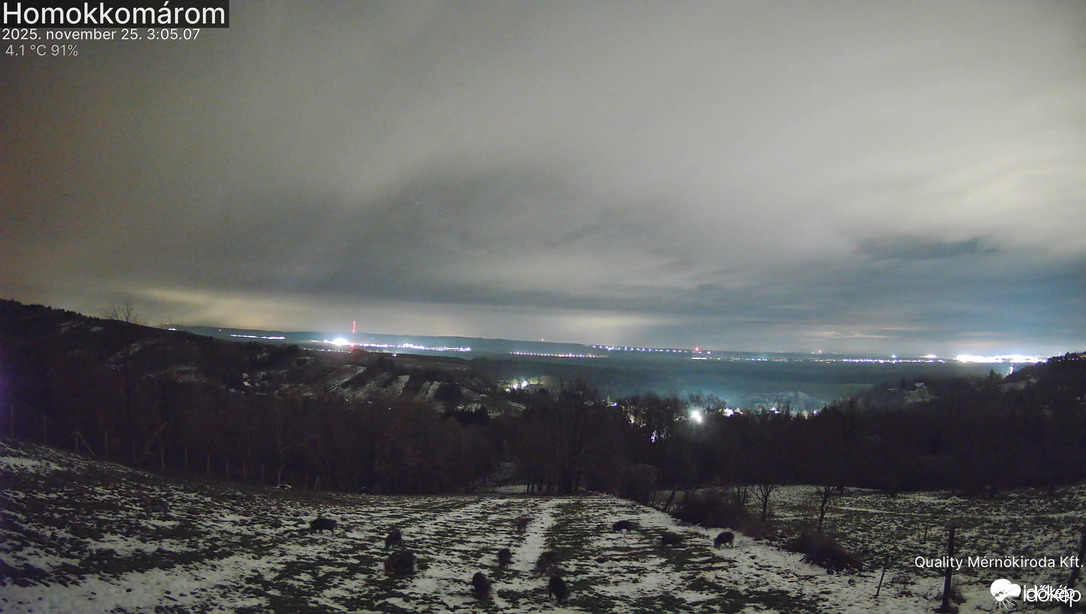 Vaddisznókkal bővült a látkép 2025.11.25 hajnala