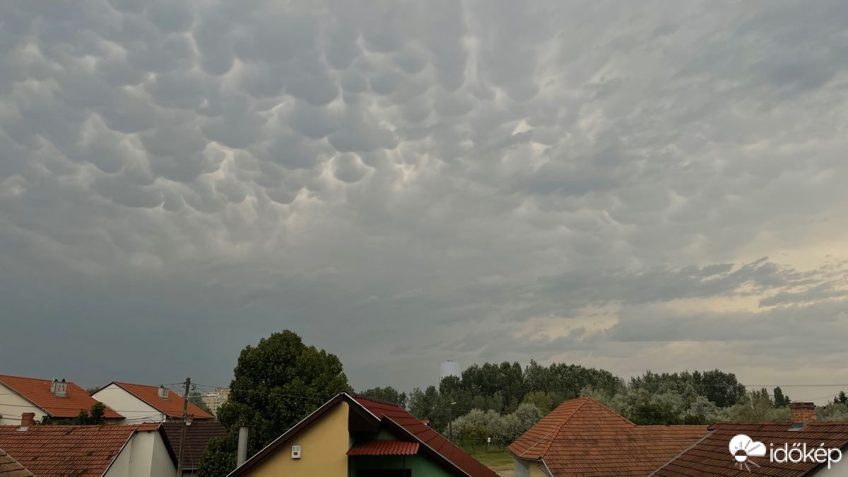 Észlelési fényképek