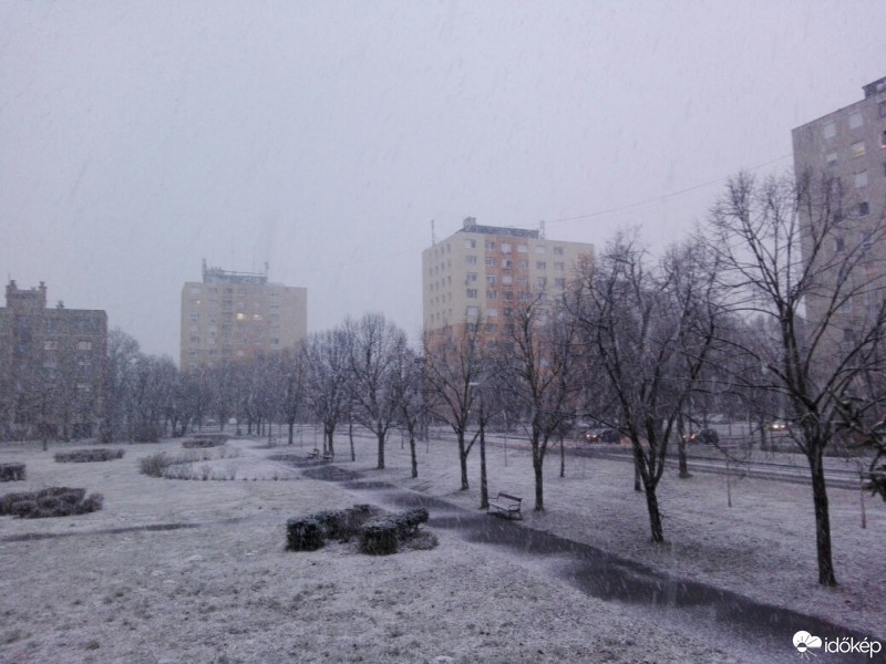 Észlelési fényképek