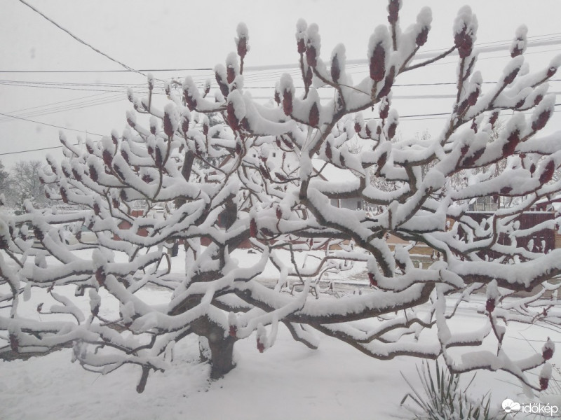 Észlelési fényképek