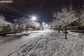 Magic winter night 