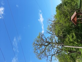 Sajóvámos