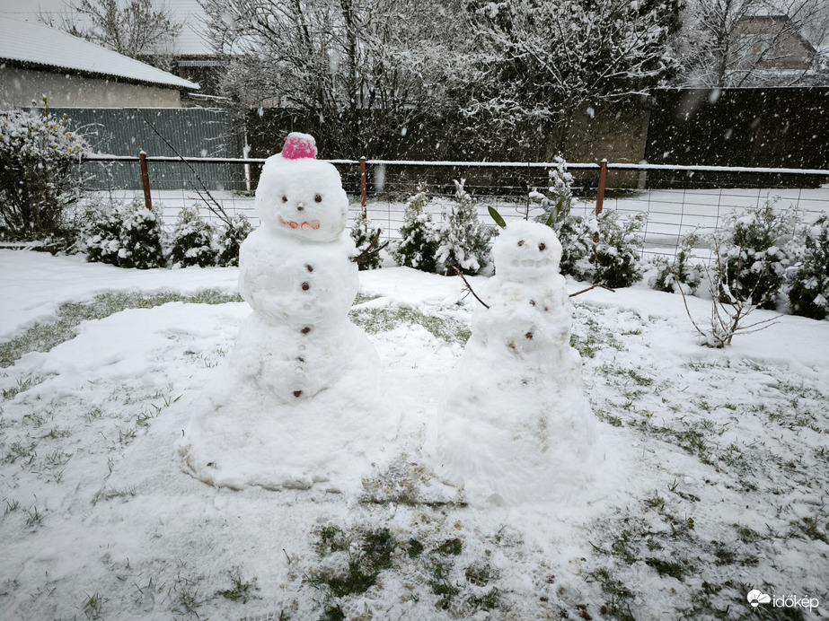 Észlelési fényképek