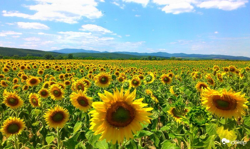 Mátra felé útközben