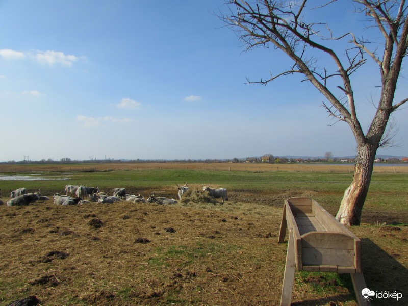 Szép idő és békesség Dinnyésen