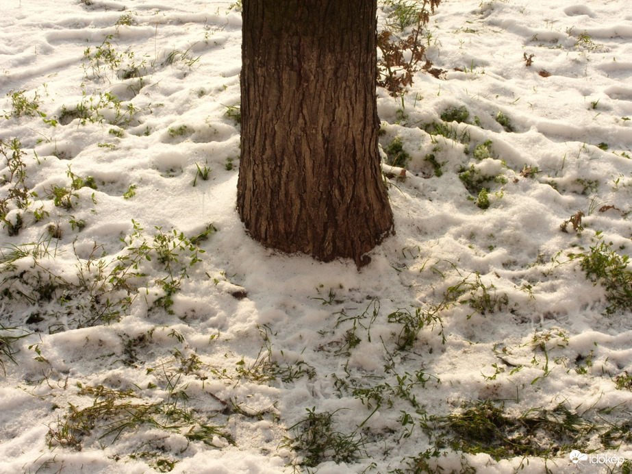 Hó a napsütésben (2009)