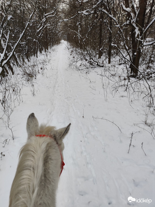 Budapest III.ker - Békásmegyer