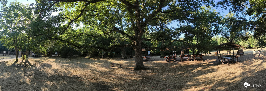 Balatonszárszó