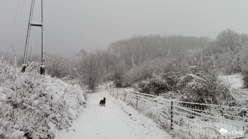 Észlelési fényképek