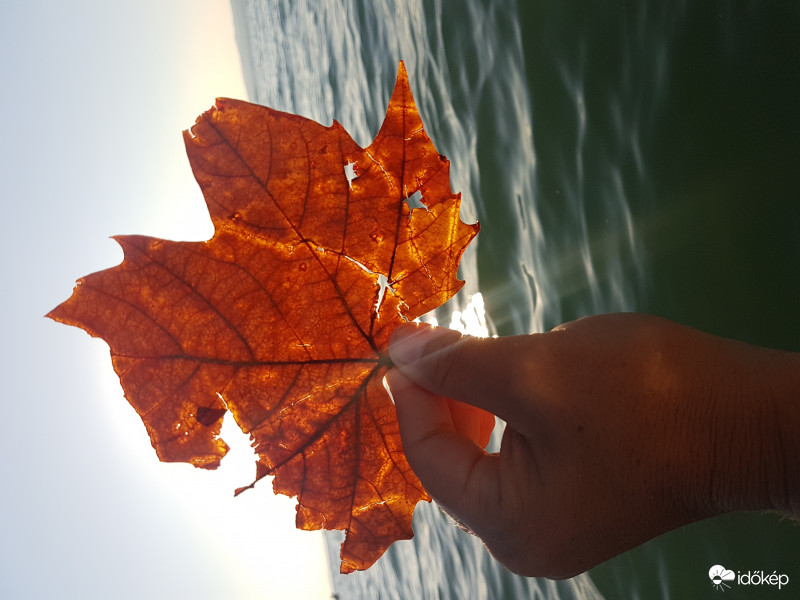 Viszlát nyár,hello ősz :)