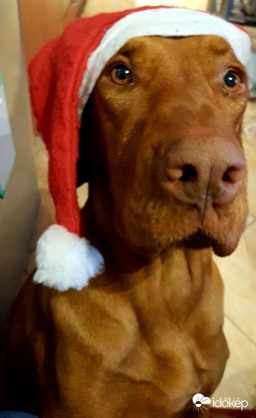 Boldog Mikulást! :)