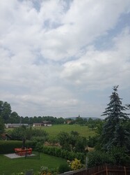 Tarján