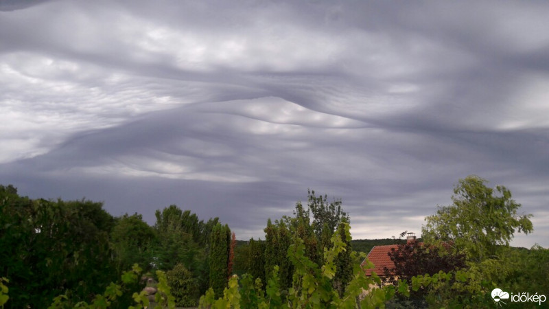 Észlelési fényképek